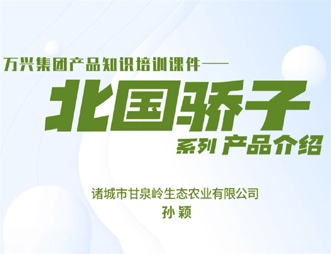 北国骄子