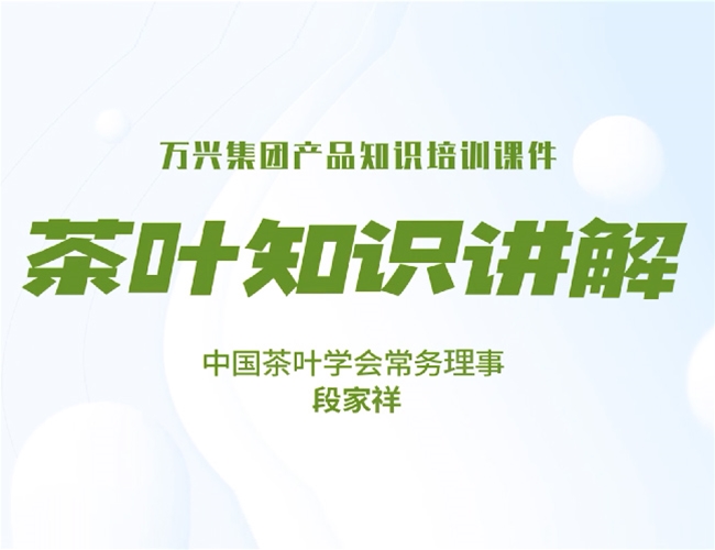 段家祥-茶叶知识讲解