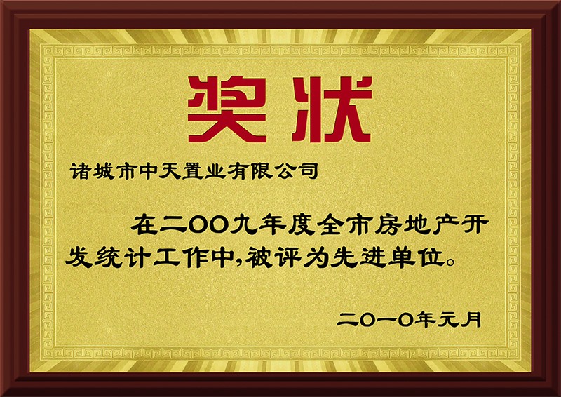 2009先进单位