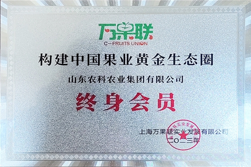 终身会员