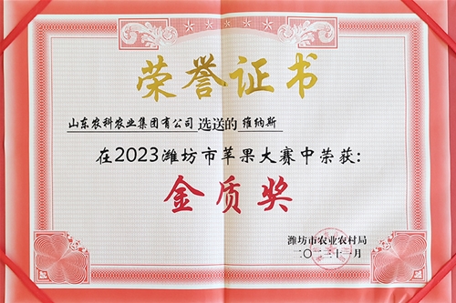 2023潍坊市苹果大赛金质奖