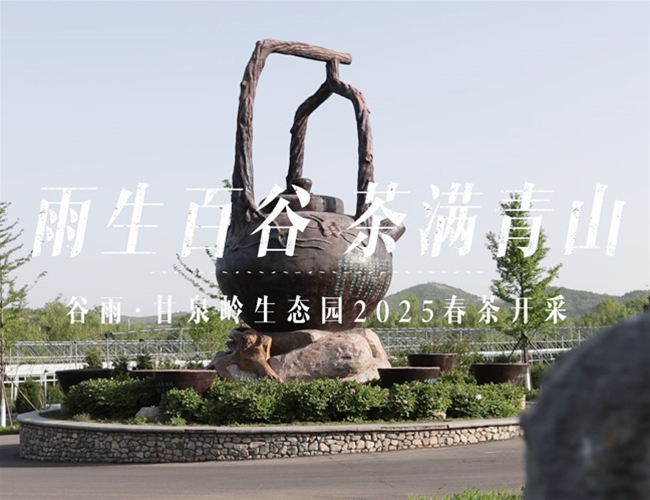 谷雨