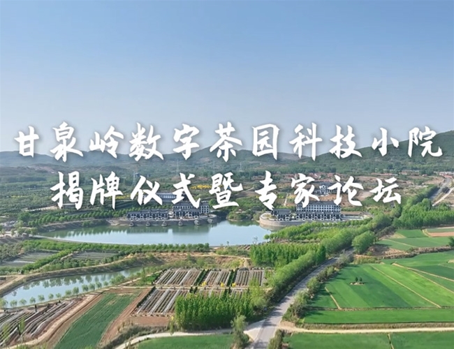 甘泉岭数字茶园科技小院揭牌仪式暨专家论坛