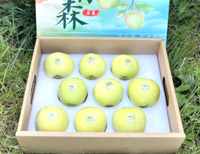 明月